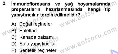 Temel Veteriner Patoloji Dersi 2013 - 2014 Yılı (Vize) Ara Sınav Soruları 2. Soru