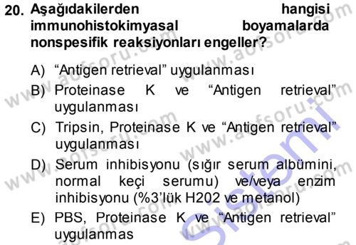 Temel Veteriner Patoloji Dersi 2013 - 2014 Yılı (Vize) Ara Sınav Soruları 20. Soru