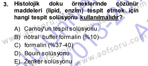 Temel Veteriner Patoloji Dersi 2013 - 2014 Yılı (Vize) Ara Sınav Soruları 3. Soru