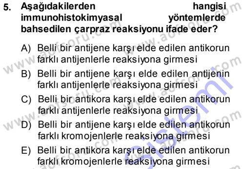 Temel Veteriner Patoloji Dersi 2013 - 2014 Yılı (Vize) Ara Sınav Soruları 5. Soru