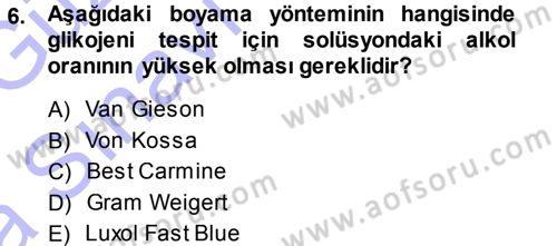 Temel Veteriner Patoloji Dersi 2013 - 2014 Yılı (Vize) Ara Sınav Soruları 6. Soru