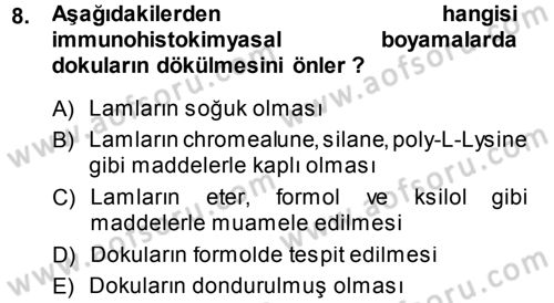 Temel Veteriner Patoloji Dersi 2013 - 2014 Yılı (Vize) Ara Sınav Soruları 8. Soru