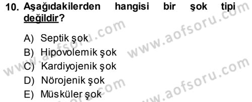 Temel Veteriner Patoloji Dersi 2013 - 2014 Yılı (Final) Dönem Sonu Sınav Soruları 10. Soru