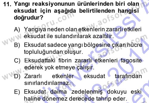 Temel Veteriner Patoloji Dersi 2013 - 2014 Yılı (Final) Dönem Sonu Sınav Soruları 11. Soru