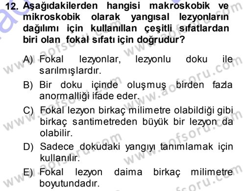 Temel Veteriner Patoloji Dersi 2013 - 2014 Yılı (Final) Dönem Sonu Sınav Soruları 12. Soru