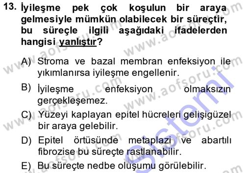 Temel Veteriner Patoloji Dersi 2013 - 2014 Yılı (Final) Dönem Sonu Sınav Soruları 13. Soru