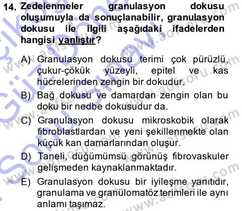 Temel Veteriner Patoloji Dersi 2013 - 2014 Yılı (Final) Dönem Sonu Sınav Soruları 14. Soru