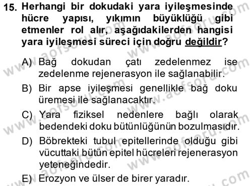 Temel Veteriner Patoloji Dersi 2013 - 2014 Yılı (Final) Dönem Sonu Sınav Soruları 15. Soru