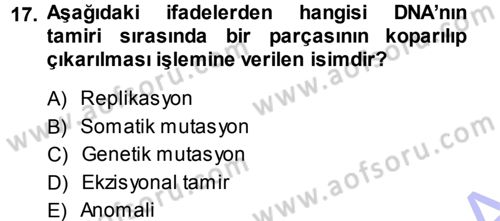 Temel Veteriner Patoloji Dersi 2013 - 2014 Yılı (Final) Dönem Sonu Sınav Soruları 17. Soru