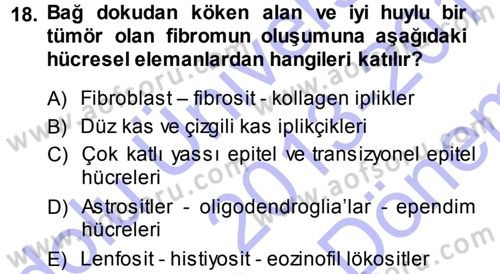 Temel Veteriner Patoloji Dersi 2013 - 2014 Yılı (Final) Dönem Sonu Sınav Soruları 18. Soru