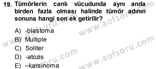 Temel Veteriner Patoloji Dersi 2013 - 2014 Yılı (Final) Dönem Sonu Sınav Soruları 19. Soru