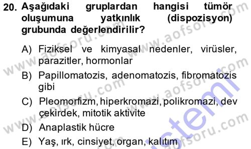 Temel Veteriner Patoloji Dersi 2013 - 2014 Yılı (Final) Dönem Sonu Sınav Soruları 20. Soru