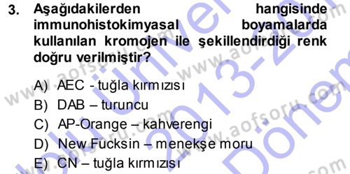 Temel Veteriner Patoloji Dersi 2013 - 2014 Yılı (Final) Dönem Sonu Sınav Soruları 3. Soru