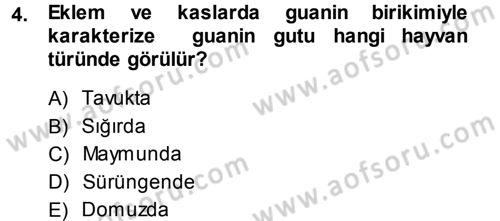 Temel Veteriner Patoloji Dersi 2013 - 2014 Yılı (Final) Dönem Sonu Sınav Soruları 4. Soru