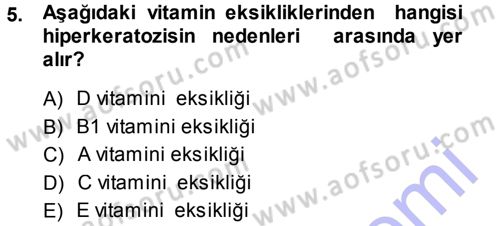 Temel Veteriner Patoloji Dersi 2013 - 2014 Yılı (Final) Dönem Sonu Sınav Soruları 5. Soru