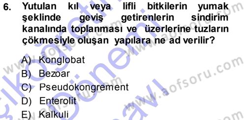 Temel Veteriner Patoloji Dersi 2013 - 2014 Yılı (Final) Dönem Sonu Sınav Soruları 6. Soru