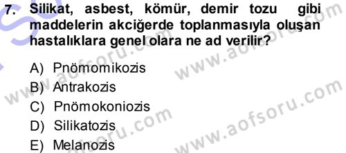 Temel Veteriner Patoloji Dersi 2013 - 2014 Yılı (Final) Dönem Sonu Sınav Soruları 7. Soru
