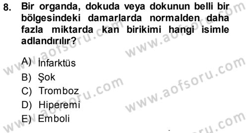 Temel Veteriner Patoloji Dersi 2013 - 2014 Yılı (Final) Dönem Sonu Sınav Soruları 8. Soru