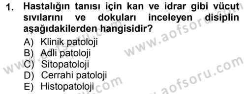 Temel Veteriner Patoloji Dersi 2013 - 2014 Yılı Tek Ders Sınav Soruları 1. Soru