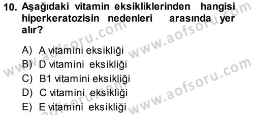 Temel Veteriner Patoloji Dersi 2013 - 2014 Yılı Tek Ders Sınav Soruları 10. Soru