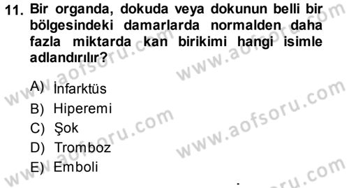 Temel Veteriner Patoloji Dersi 2013 - 2014 Yılı Tek Ders Sınav Soruları 11. Soru