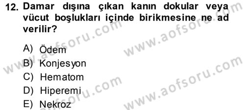 Temel Veteriner Patoloji Dersi 2013 - 2014 Yılı Tek Ders Sınav Soruları 12. Soru