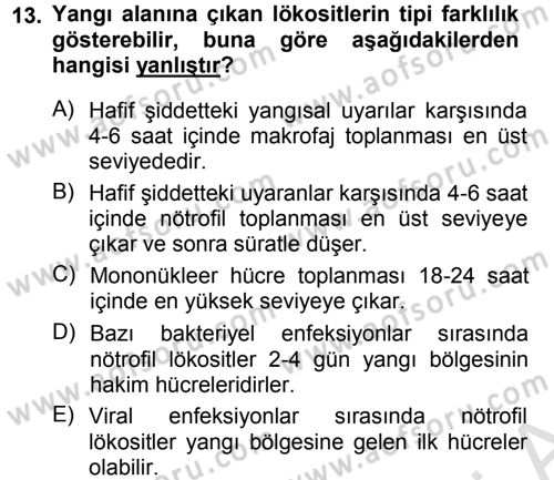 Temel Veteriner Patoloji Dersi 2013 - 2014 Yılı Tek Ders Sınav Soruları 13. Soru