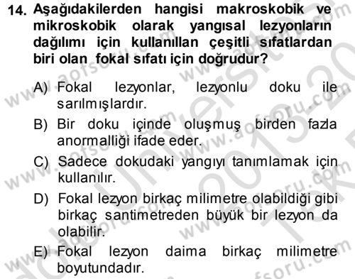 Temel Veteriner Patoloji Dersi 2013 - 2014 Yılı Tek Ders Sınav Soruları 14. Soru