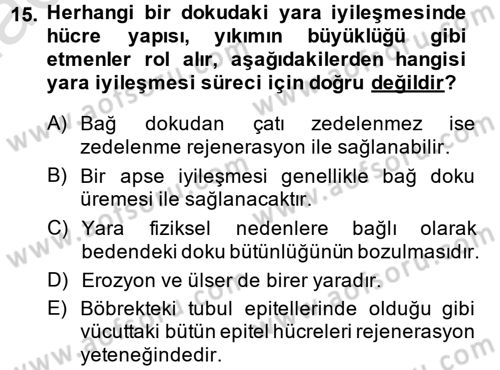 Temel Veteriner Patoloji Dersi 2013 - 2014 Yılı Tek Ders Sınav Soruları 15. Soru