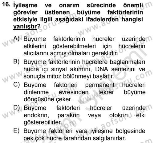 Temel Veteriner Patoloji Dersi 2013 - 2014 Yılı Tek Ders Sınav Soruları 16. Soru