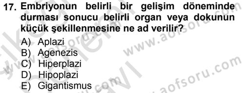 Temel Veteriner Patoloji Dersi 2013 - 2014 Yılı Tek Ders Sınav Soruları 17. Soru