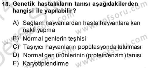 Temel Veteriner Patoloji Dersi 2013 - 2014 Yılı Tek Ders Sınav Soruları 18. Soru