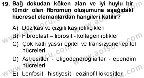 Temel Veteriner Patoloji Dersi 2013 - 2014 Yılı Tek Ders Sınav Soruları 19. Soru