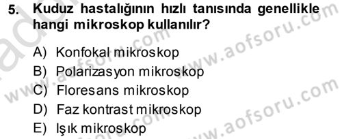 Temel Veteriner Patoloji Dersi 2013 - 2014 Yılı Tek Ders Sınav Soruları 5. Soru