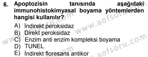 Temel Veteriner Patoloji Dersi 2013 - 2014 Yılı Tek Ders Sınav Soruları 6. Soru