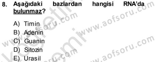 Temel Veteriner Patoloji Dersi 2013 - 2014 Yılı Tek Ders Sınav Soruları 8. Soru