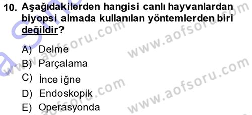 Temel Veteriner Patoloji Dersi 2014 - 2015 Yılı (Vize) Ara Sınav Soruları 10. Soru