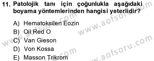 Temel Veteriner Patoloji Dersi 2014 - 2015 Yılı (Vize) Ara Sınav Soruları 11. Soru