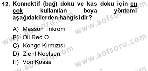Temel Veteriner Patoloji Dersi 2014 - 2015 Yılı (Vize) Ara Sınav Soruları 12. Soru
