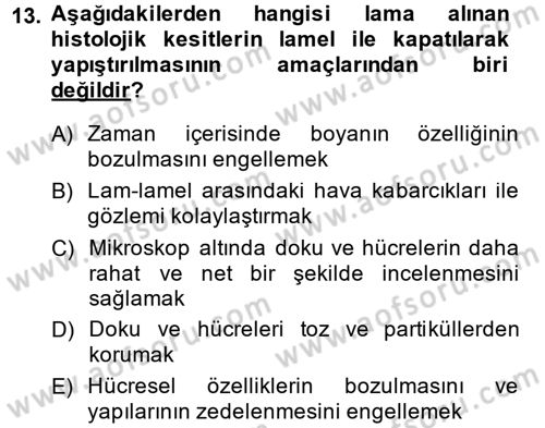 Temel Veteriner Patoloji Dersi 2014 - 2015 Yılı (Vize) Ara Sınav Soruları 13. Soru