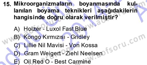 Temel Veteriner Patoloji Dersi 2014 - 2015 Yılı (Vize) Ara Sınav Soruları 15. Soru