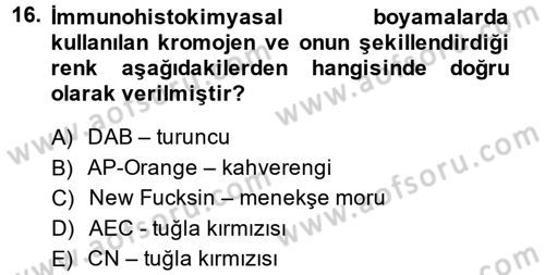 Temel Veteriner Patoloji Dersi 2014 - 2015 Yılı (Vize) Ara Sınav Soruları 16. Soru