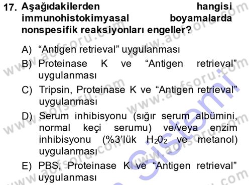 Temel Veteriner Patoloji Dersi 2014 - 2015 Yılı (Vize) Ara Sınav Soruları 17. Soru