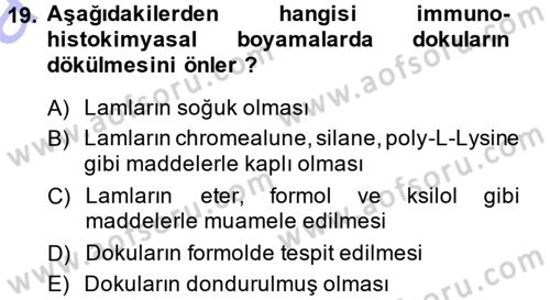 Temel Veteriner Patoloji Dersi 2014 - 2015 Yılı (Vize) Ara Sınav Soruları 19. Soru