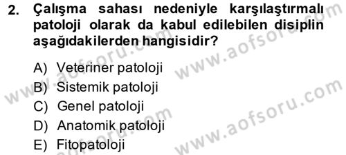 Temel Veteriner Patoloji Dersi 2014 - 2015 Yılı (Vize) Ara Sınav Soruları 2. Soru