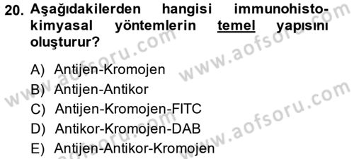 Temel Veteriner Patoloji Dersi 2014 - 2015 Yılı (Vize) Ara Sınav Soruları 20. Soru