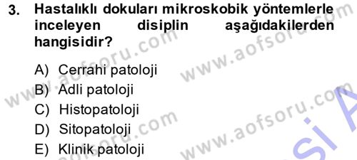 Temel Veteriner Patoloji Dersi 2014 - 2015 Yılı (Vize) Ara Sınav Soruları 3. Soru