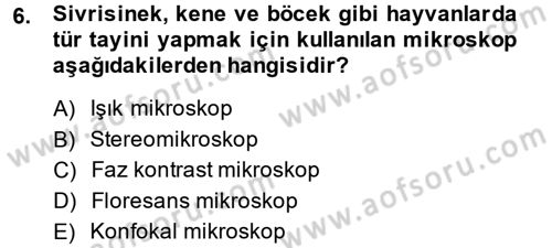 Temel Veteriner Patoloji Dersi 2014 - 2015 Yılı (Vize) Ara Sınav Soruları 6. Soru