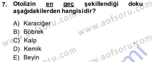 Temel Veteriner Patoloji Dersi 2014 - 2015 Yılı (Vize) Ara Sınav Soruları 7. Soru