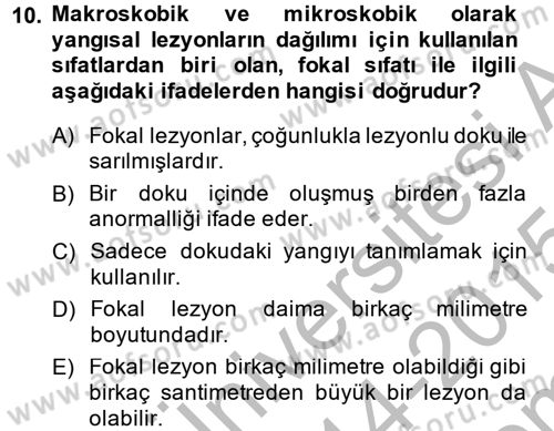 Temel Veteriner Patoloji Dersi 2014 - 2015 Yılı (Final) Dönem Sonu Sınav Soruları 10. Soru